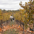 Exploring the Culinary Wonders of Northern California