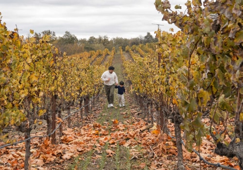 Exploring the Culinary Wonders of Northern California